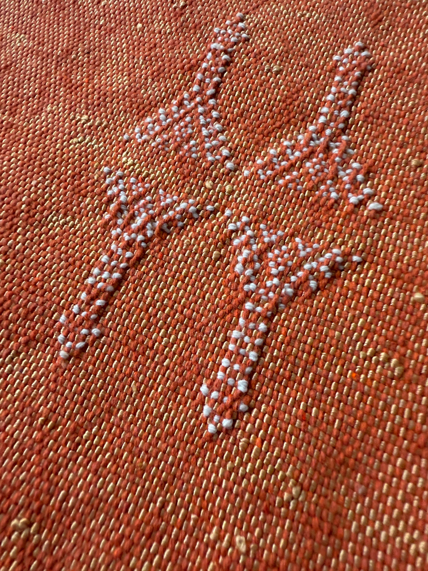 Apricot Moroccan Cactus Silk Cushion Cover No. 1