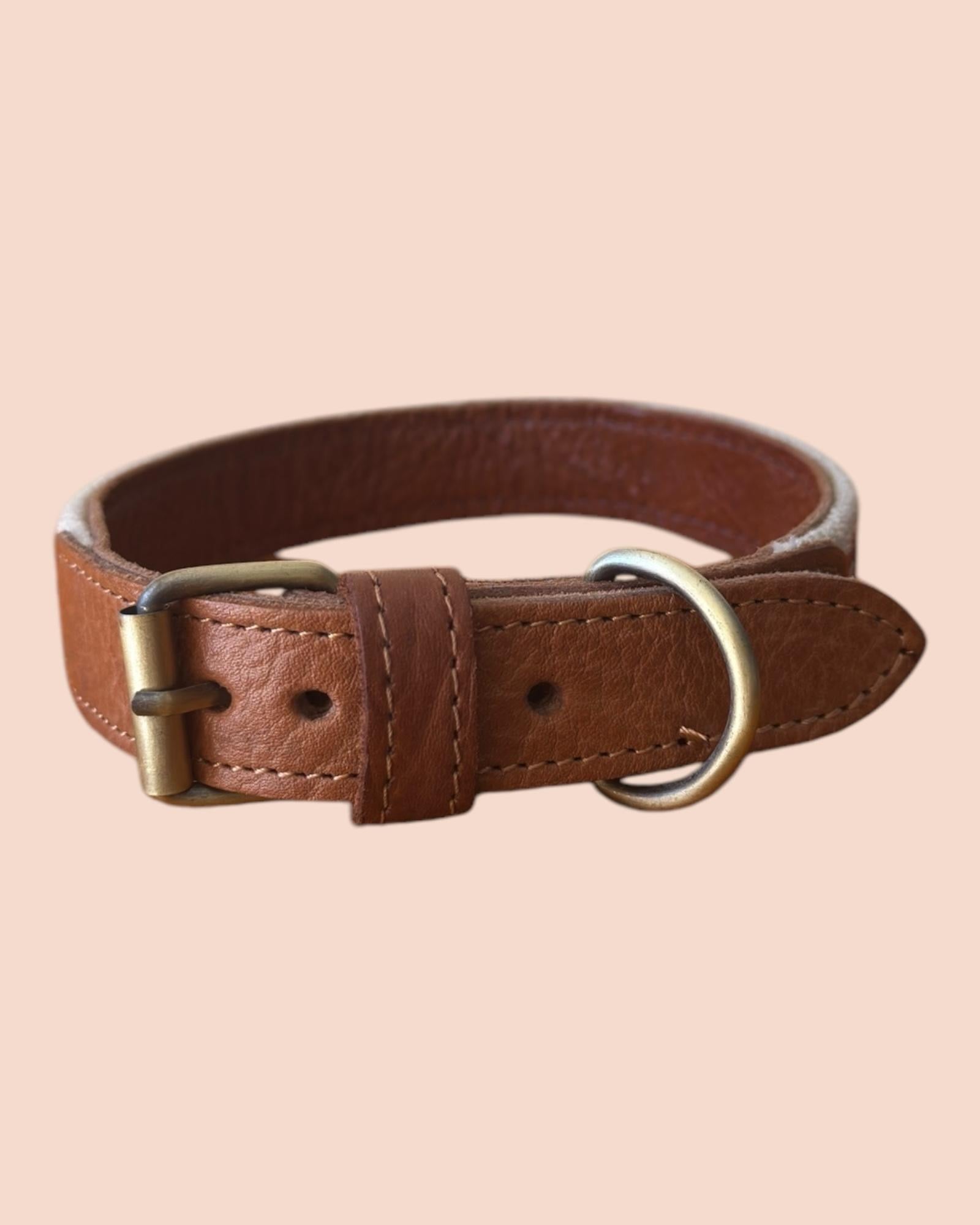 Dog Collar 14 - Thin - Rohi Threads