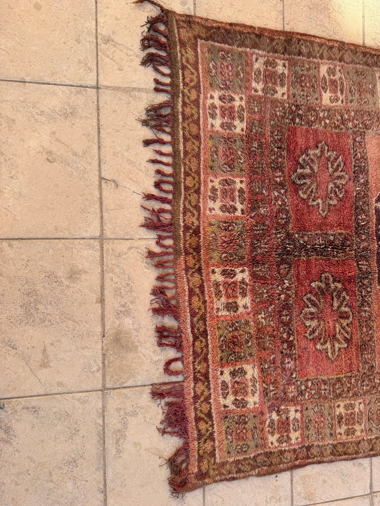 Vintage Moroccan Khnifra Rug - 293cm x 193cm - Rohi Threads